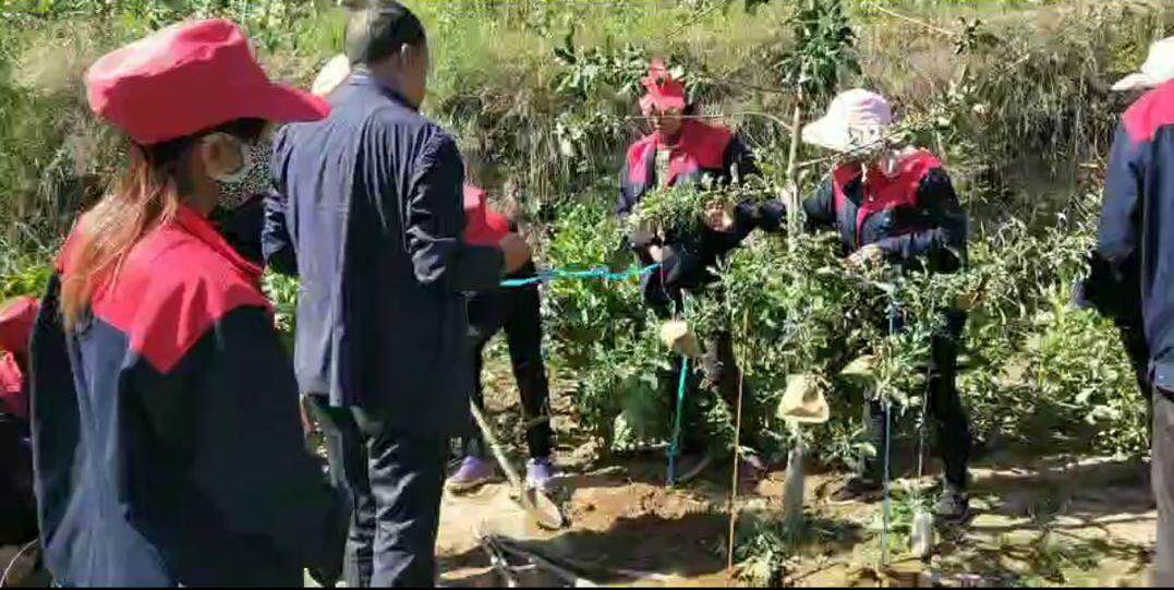 泓源力量助力脫貧攻堅—— 學好果園管理技能 鋪好脫貧致富之路(圖3)