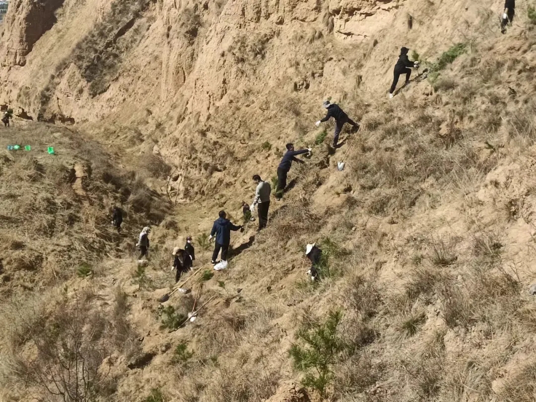 市產(chǎn)投集團開展義務植樹活動(圖2)